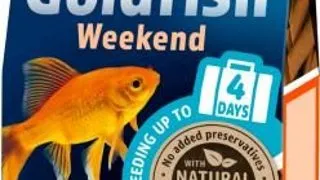 Tetra Goldfish Weekend 10 Tbl