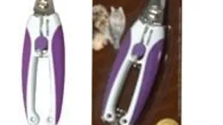 Bellovero Cleste Gheare S