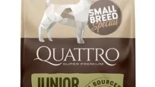 Quattro Dog Small Breed No Grain Junior 1,5 kg