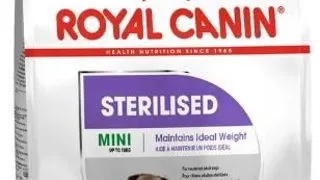 Royal Canin Mini Sterilised Adult - 8-kg,royal-canin
