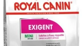 Royal Canin Mini Exigent - 3-kg,royal-canin