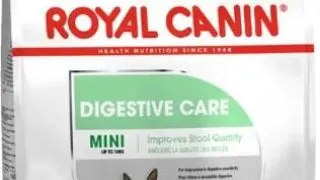 Royal Canin Mini Digestive Care - 3-kg,royal-canin