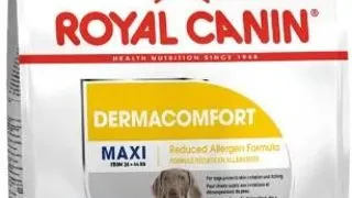 Royal Canin Maxi Dermacomfort 3 kg