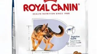 Royal Canin Maxi Adult - 12-kg,royal-canin