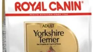 Royal Canin Yorkshire Adult - 7-5-kg,royal-canin