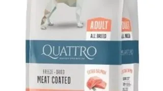 Quattro dog all breed somon 12 KG