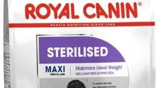 Royal Canin Maxi Sterilised Adult 12kg
