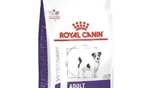 Royal Canin Dieta Adult Small Dog 2 Kg