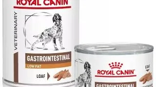 Royal Canin Dieta Conserva Gastrointestinal Low Fat - 200-g