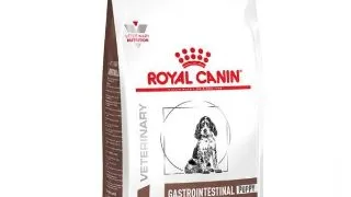 Royal Canin Dieta Puppy Gastrointestinal - 2-5-kg