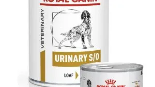 Royal Canin Dieta Conserva Urinary S/O - 410-g