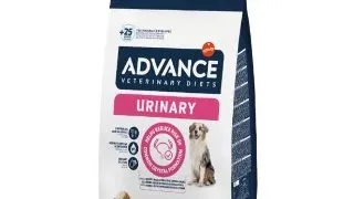 Advance Dog Dieta Urinary 3 Kg
