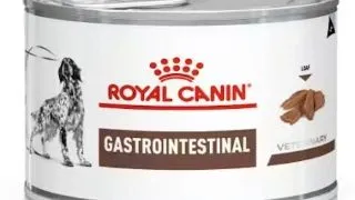 Royal Canin Dieta Conserva Gastrointestinal 400 g