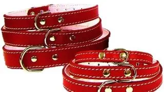 Pet Expert Zgarda Pasla Rosu - nr-0