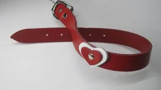 Zgarda Caine Streetside Inima 2.0/45 cm Rosu Nr 2