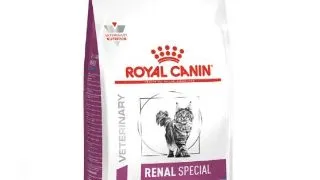 Royal Canin Felin Renal Special 4 kg