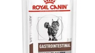 Royal Canin Cat Dieta Plic Gastro Intestinal Moderat Calories 12 x 85 g