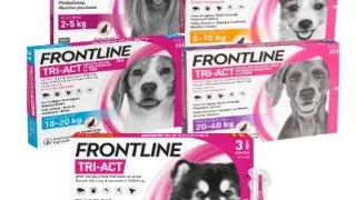 Frontline Tri-Act Caine - xl