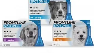 Frontline Caine - s