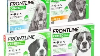 Frontline Combo Caine - s