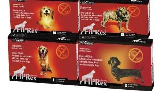 Fiprex Caine - m