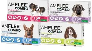 AmFlee Combo Caine - m