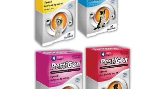 Pestigon Pipete Caine - 20-40-kg