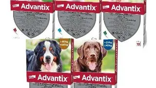 Advantix Pipeta Caine - m