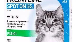 Frontline Spot On Pisica