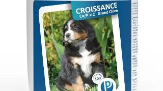 Pet Phos Vitamine Croissance Pentru Caini de Talie Mare
