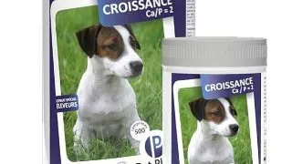 Pet Phos Vitamine Caine Croissance Ca/P=2 - ca-p-2-100-tbl