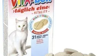 Vita Bon Pisica 31 tbl