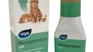Viyo Cat Recuperation 150 ml