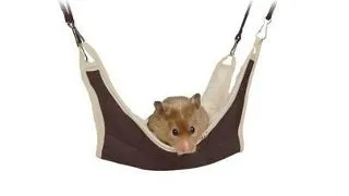 TRIXIE Hamac pentru hamster si soarece 18 x 18 cm