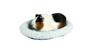 TRIXIE Pat pentru porcusor de guinea 29 x 24