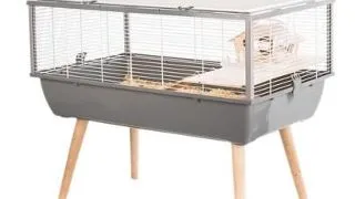 ZOLUX Cusca pentru hamsteri, gerbili Neo Nigha small H36 gri