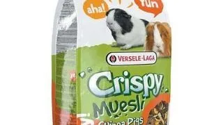 VERSELE-LAGA Prestige 2.75 kg crispy muesli - porcusori de guinea