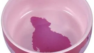 TRIXIE Bol ceramic pentru porcusor de Guineea
