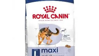 Royal Canin Maxi Adult hrana uscata caini, 3kg