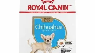 Royal Canin Chihuahua Puppy hrana uscata caine junior, 1.5 kg