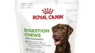Royal Canin Adult Supliment pentru digestie, 160g