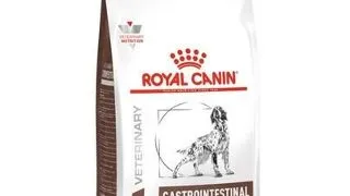ROYAL CANIN Dog Gastro Intestinal Low Fat 6 kg hrana dietetica cu continut redus de grasimi pentru caini cu afectiuni gastrointestinale