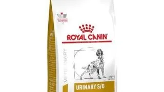 ROYAL CANIN Dog Urinary S/O 2 kg hrana dietetica caini adulti cu afectiuni ale tractului urinar inferior