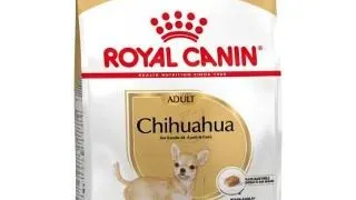 Royal Canin Chihuahua Adult hrana uscata caine, 1.5 kg