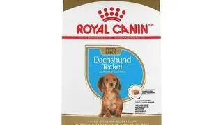 Royal Canin Dachshund Puppy hrana uscata caine junior Teckel, 1.5 kg