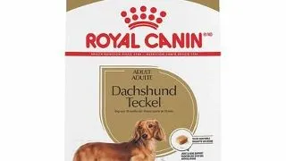 Royal Canin Dachshund Adult hrana uscata caine Teckel, 7.5 kg
