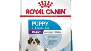 Royal Canin Giant Puppy hrana uscata caine junior etapa 1 de crestere , 15 kg