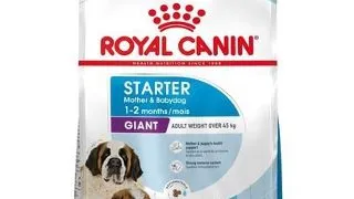 Royal Canin Giant Starter Mother & Babydog gestatie/ lactatie pui hrana uscata caine 15 kg