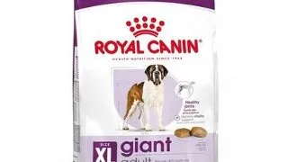 Royal Canin Giant Adult hrana uscata pentru caini adulti de talie foarte mare 15 kg