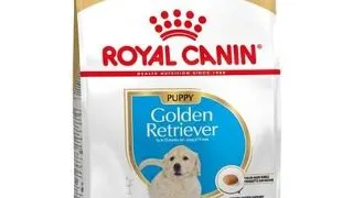 Royal Canin Golden Retriever Puppy hrana uscata pentru catei Retriver, pana la 15 luni 12 kg